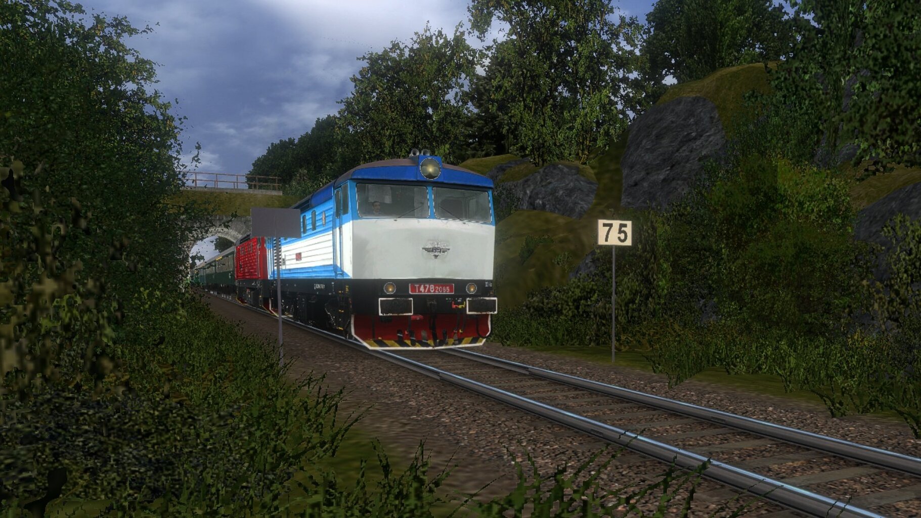 zn031.jpg
