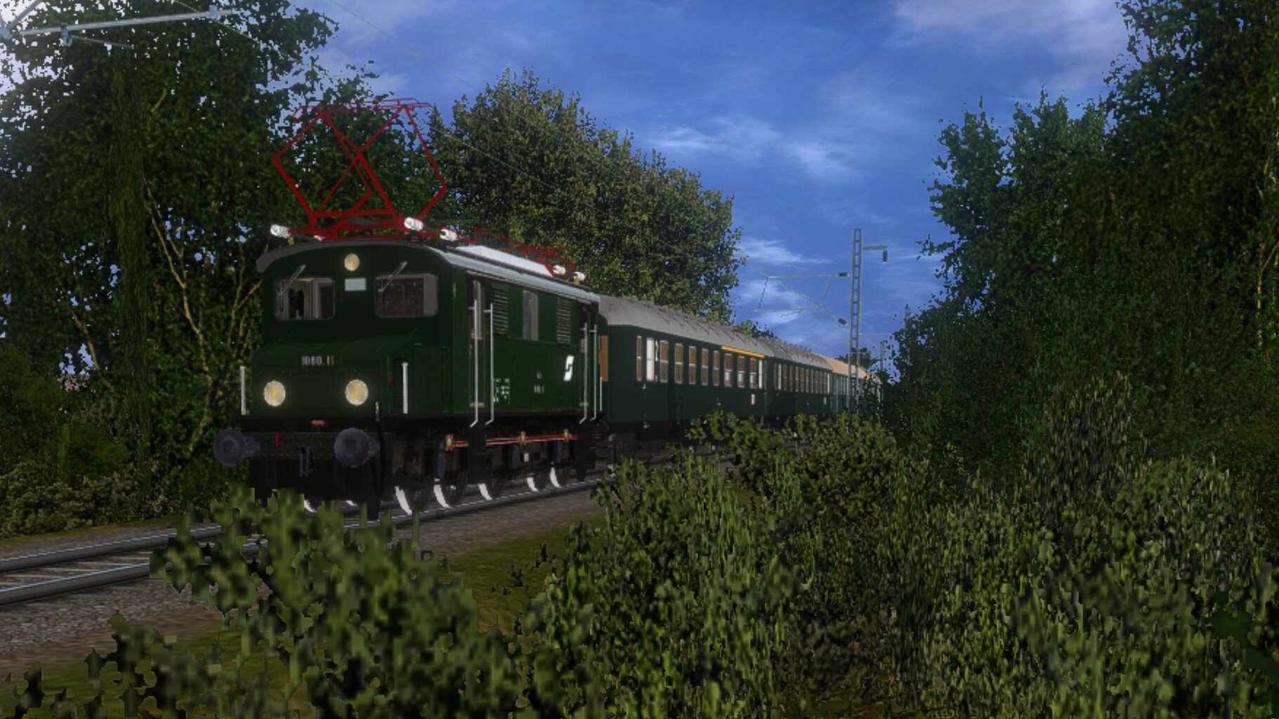 zn037.jpg