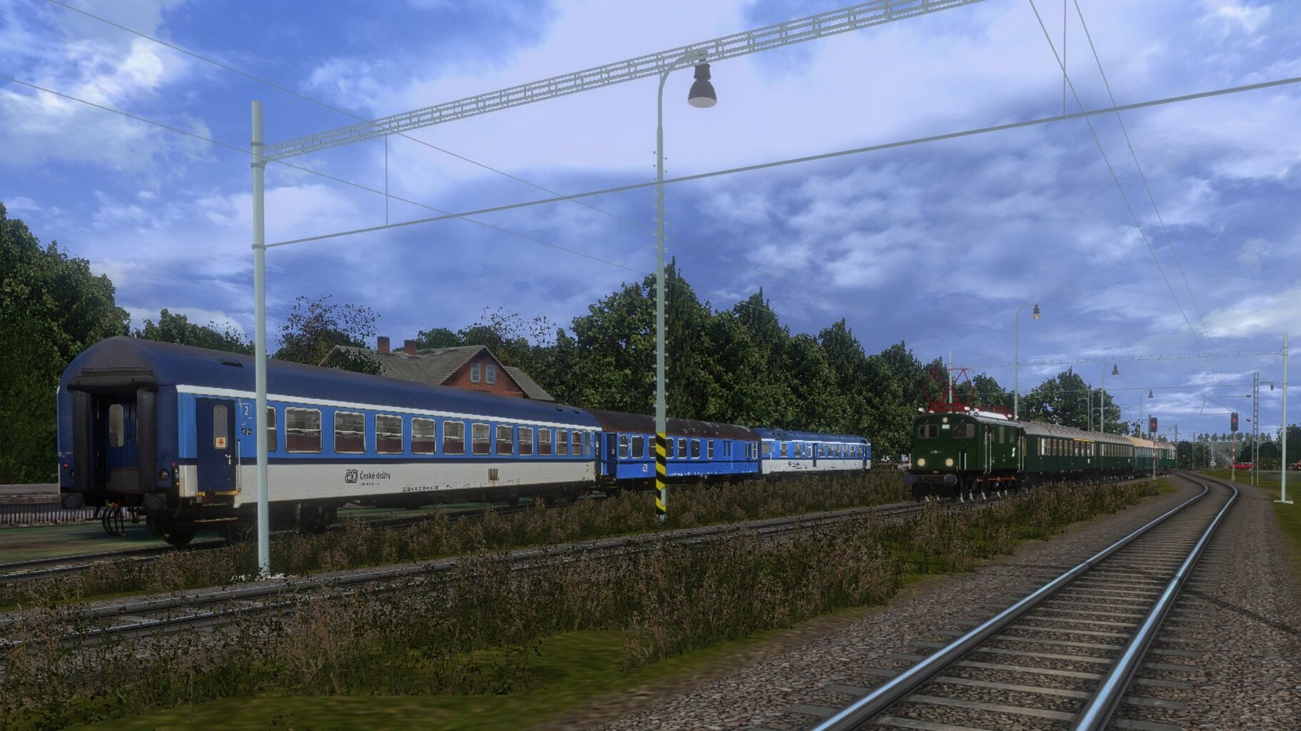 zn040.jpg