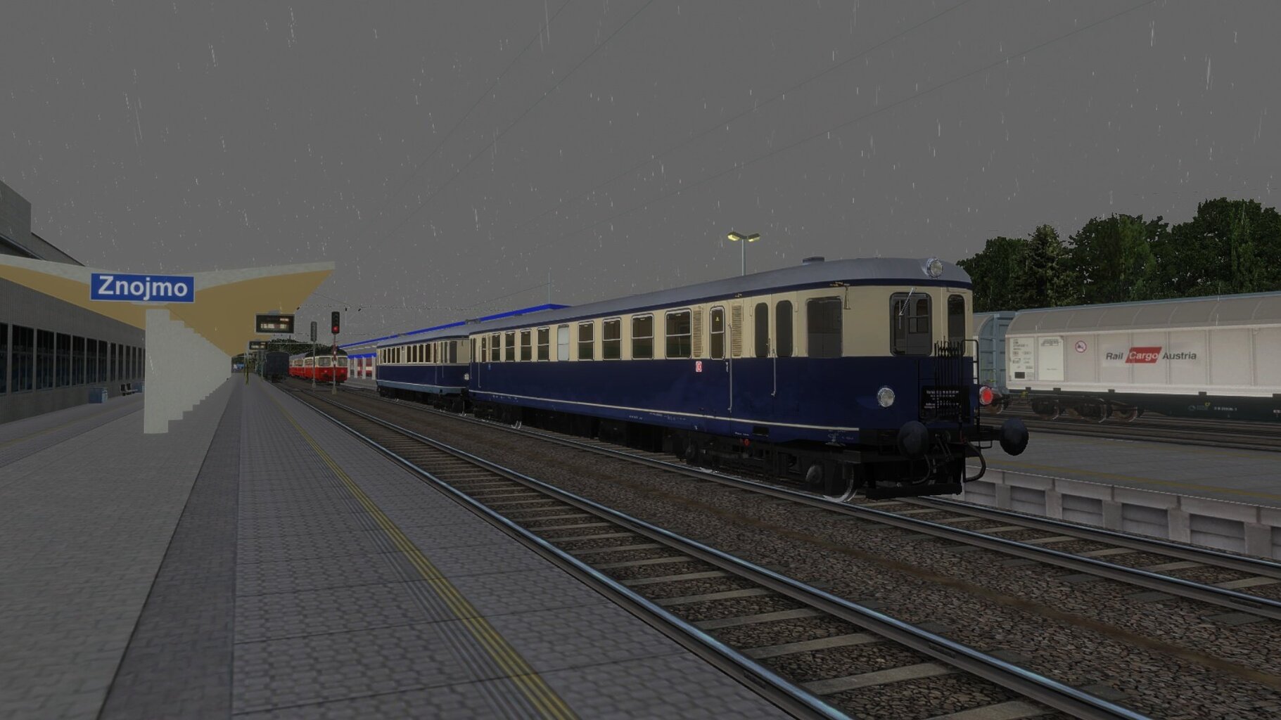 zn049.jpg