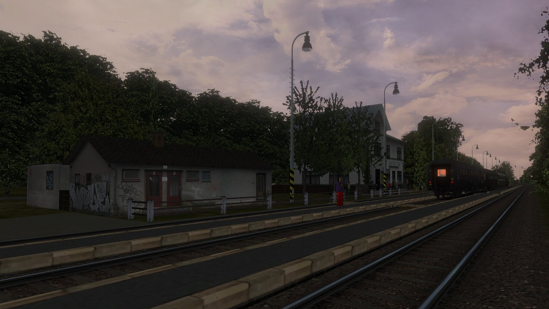 zn2_011.jpg