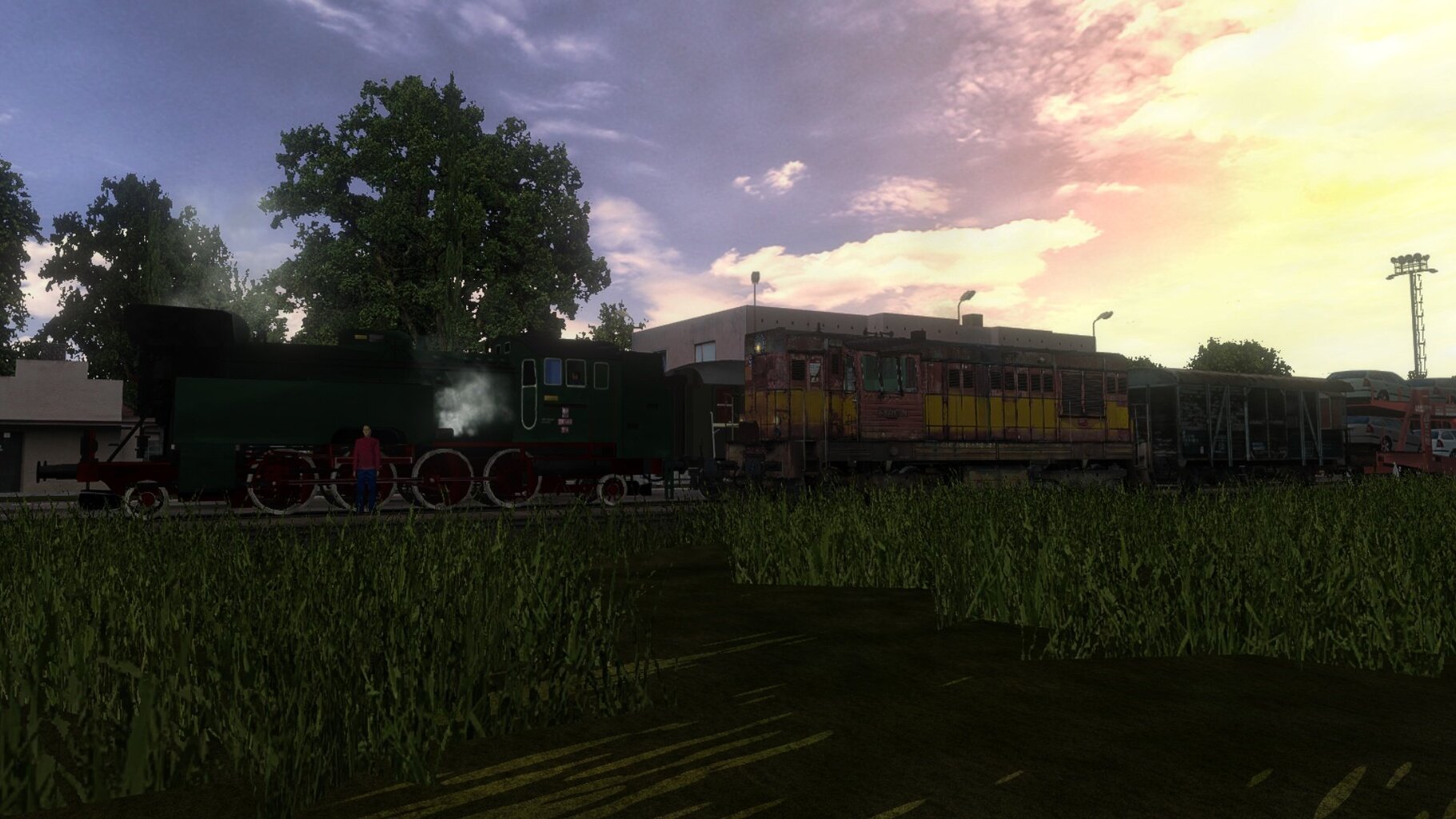 zn2_016.jpg