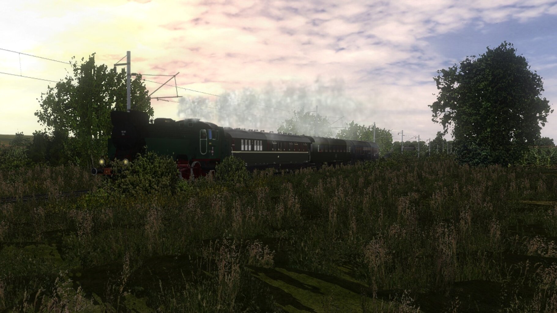 zn2_021.jpg
