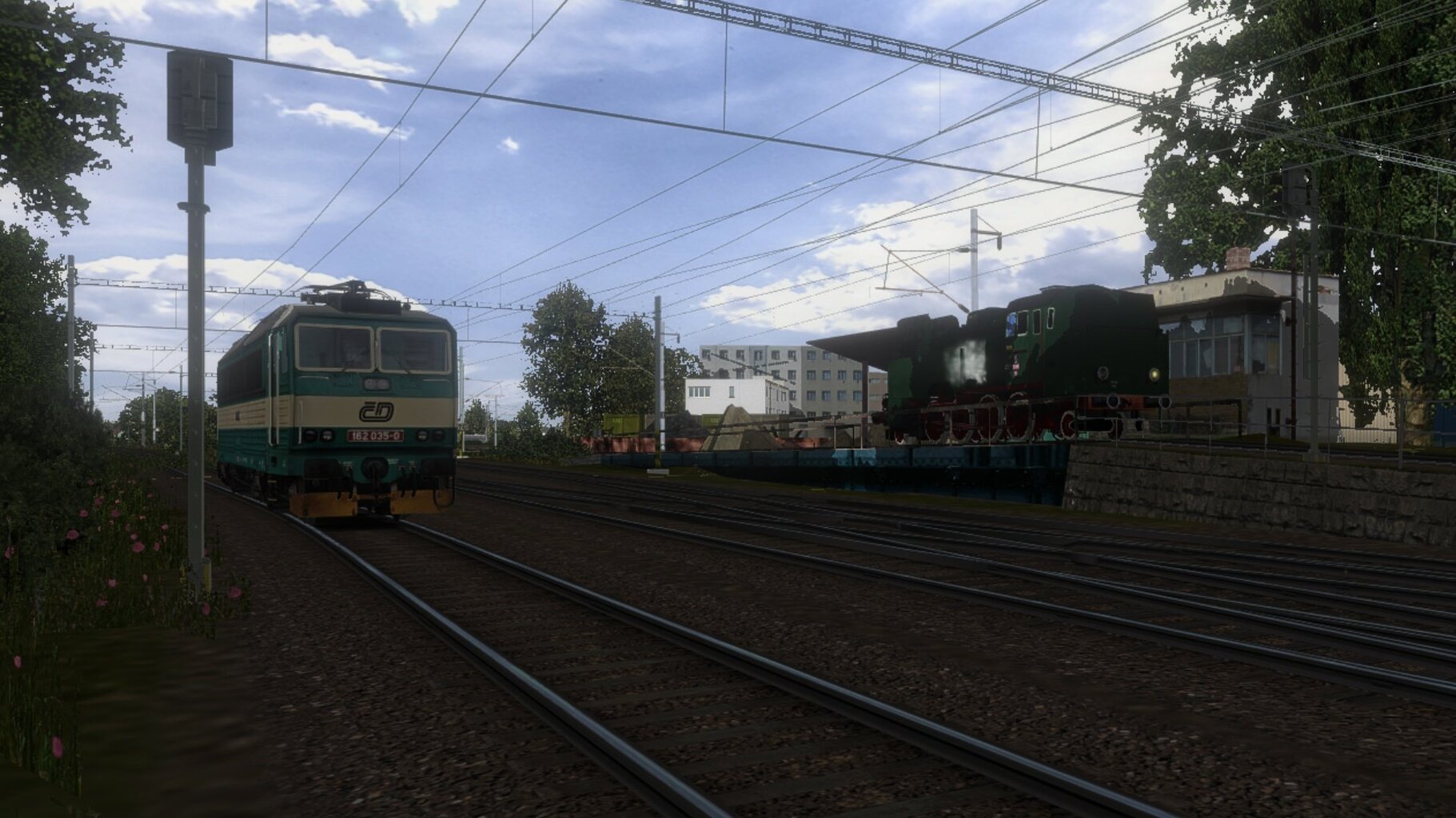 zn2_024.jpg