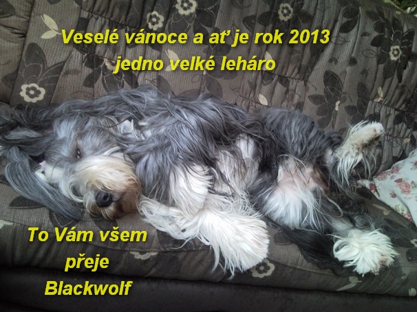 47be457d2da7123bd2446c3c2e5fe061.jpg