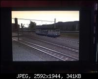 c6c32f294fa7d38b7398e6af7f10d7bc.jpg