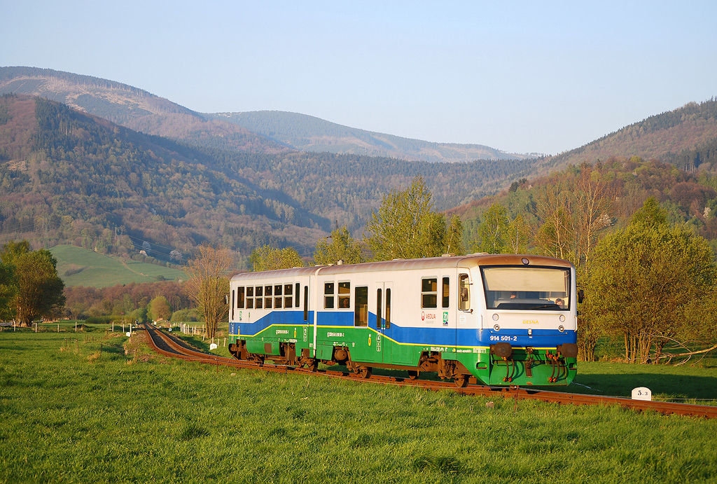 01.jpg
