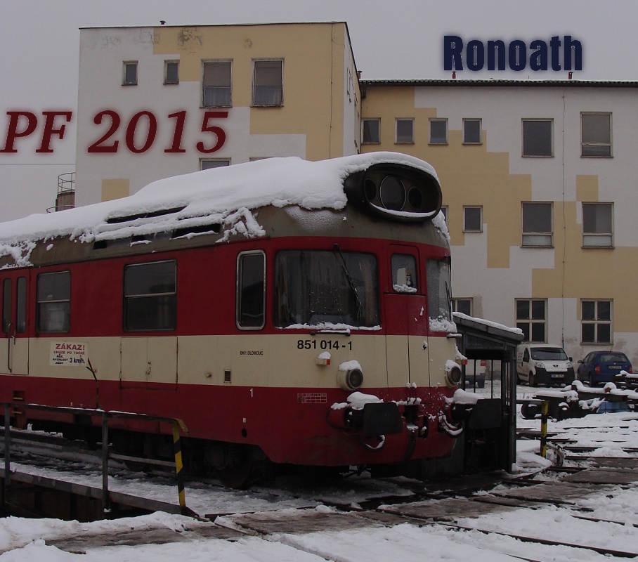 pf_2015_RN.JPG