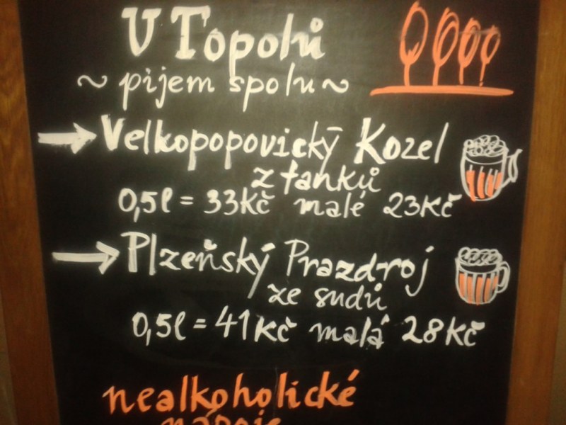 u_topolu.jpg