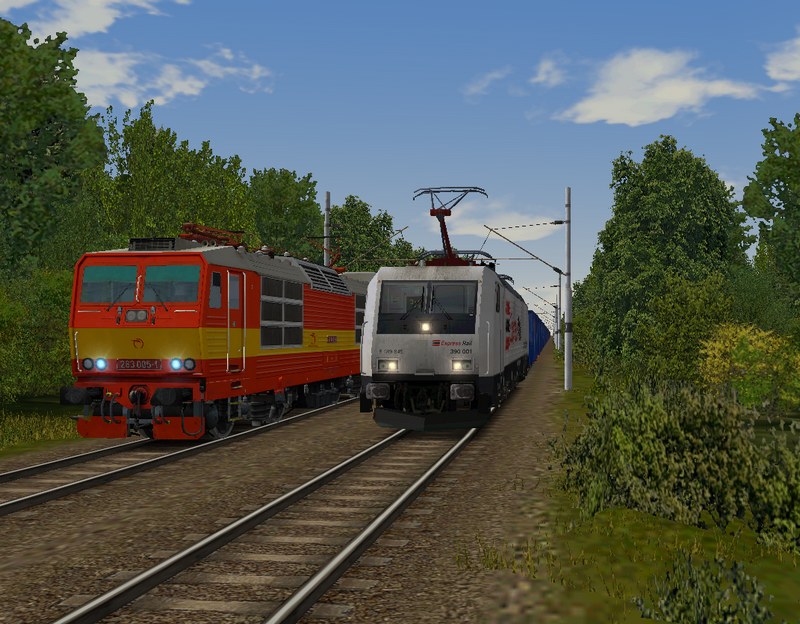 344818b_024.jpg