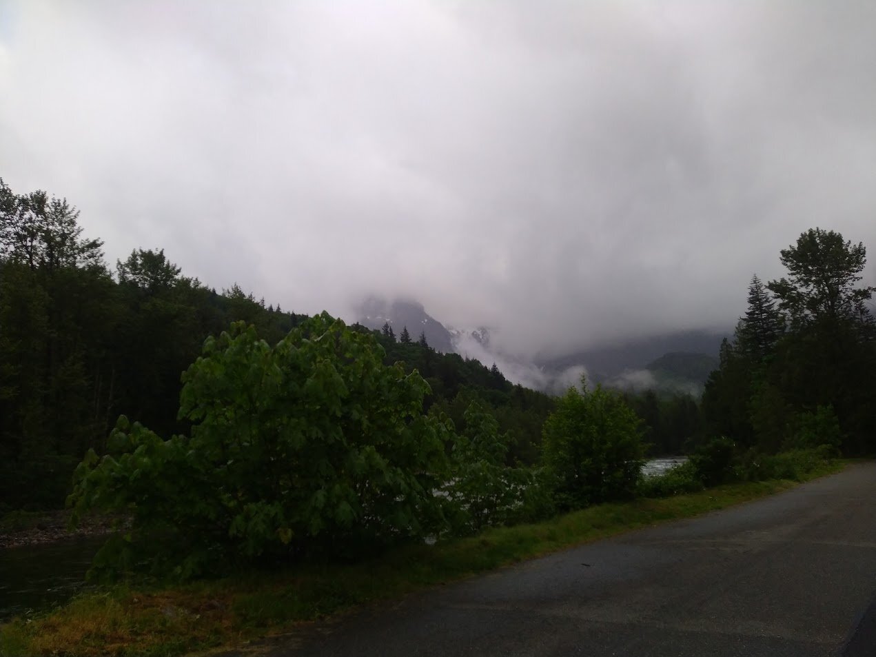 IMG_20250520_071529.jpg