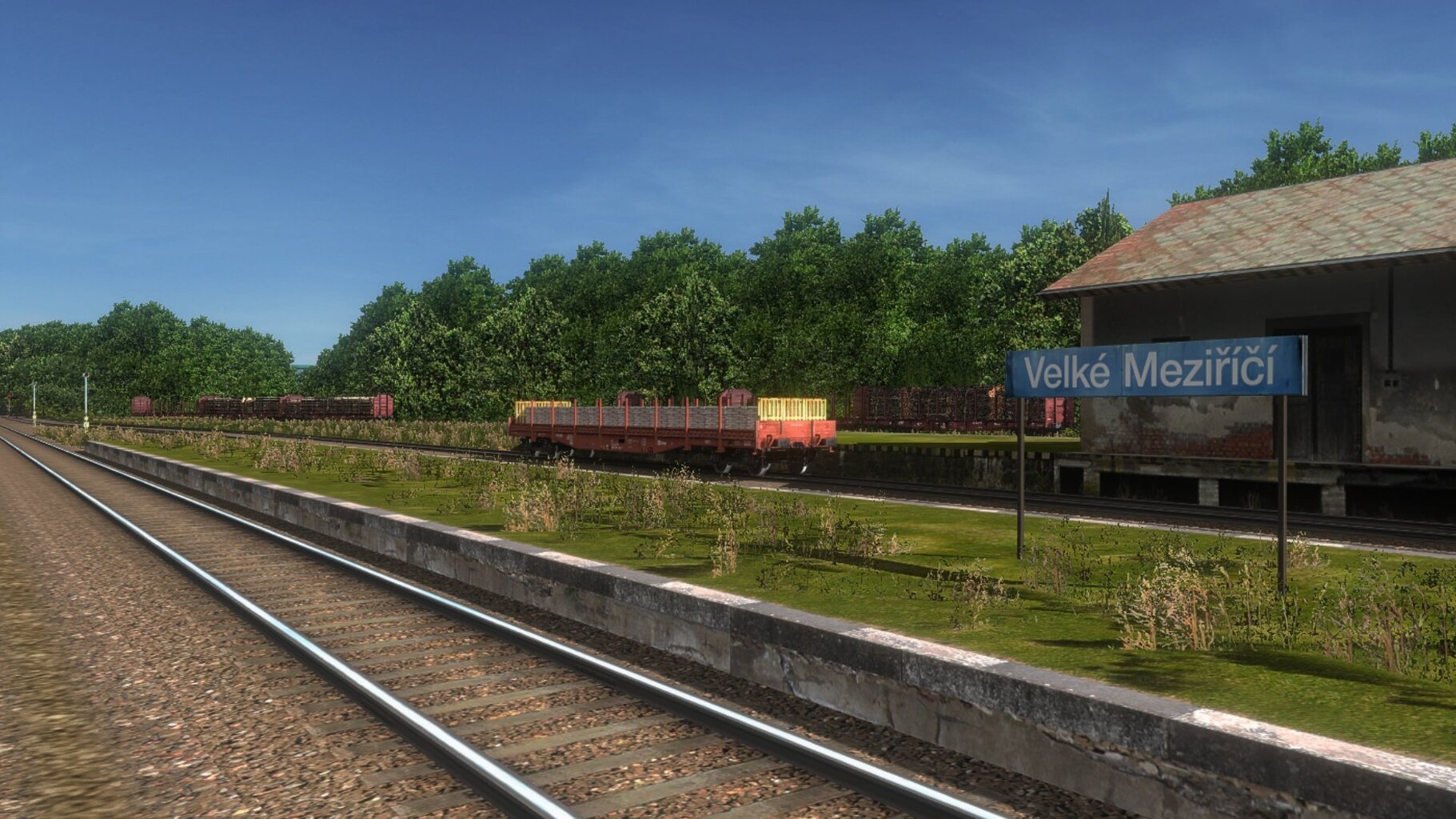 vm002.jpg