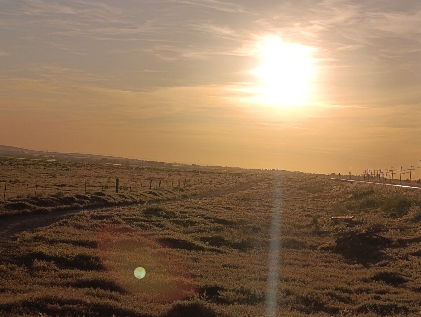 1780250712306.jpg