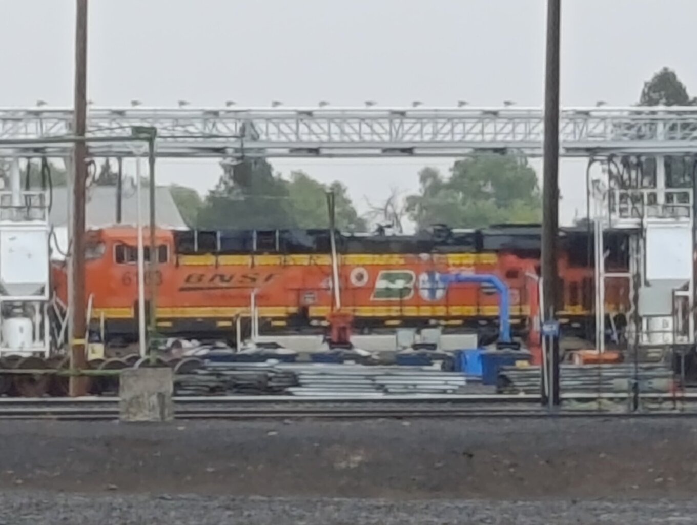 1780590768211.jpg