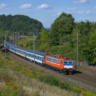 Schejbii